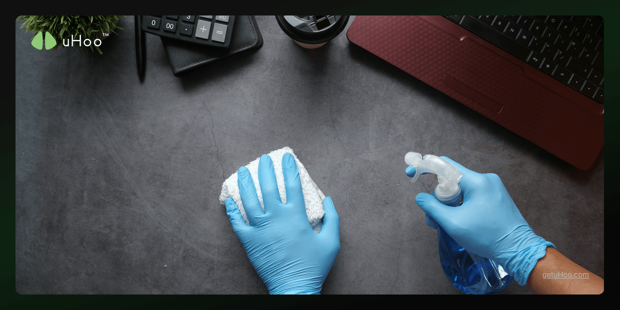 Top 5 Dangerous Ingredients In Your Favorite Wipes and Disinfectants