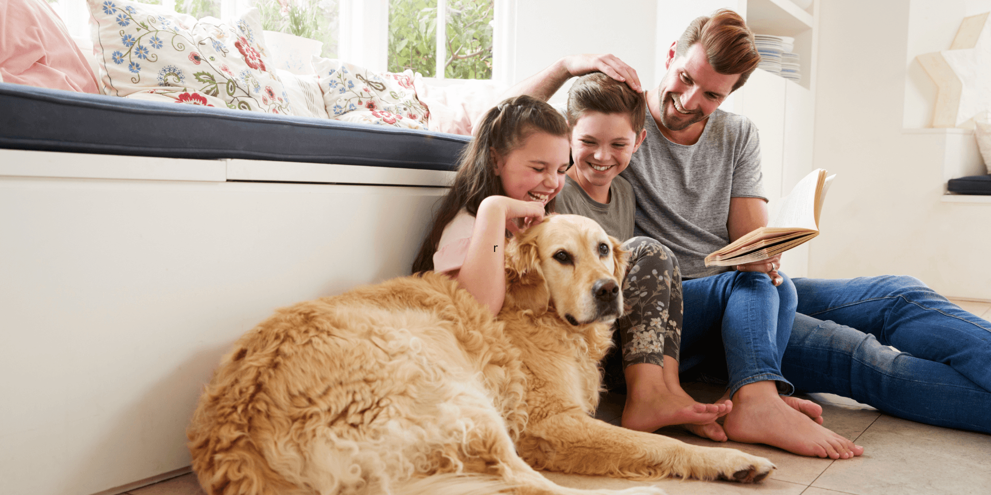 How Does Indoor Air Pollution Affect Your Pets?