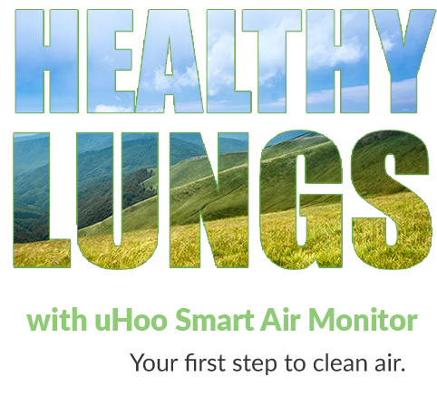Healthy Lungs banner