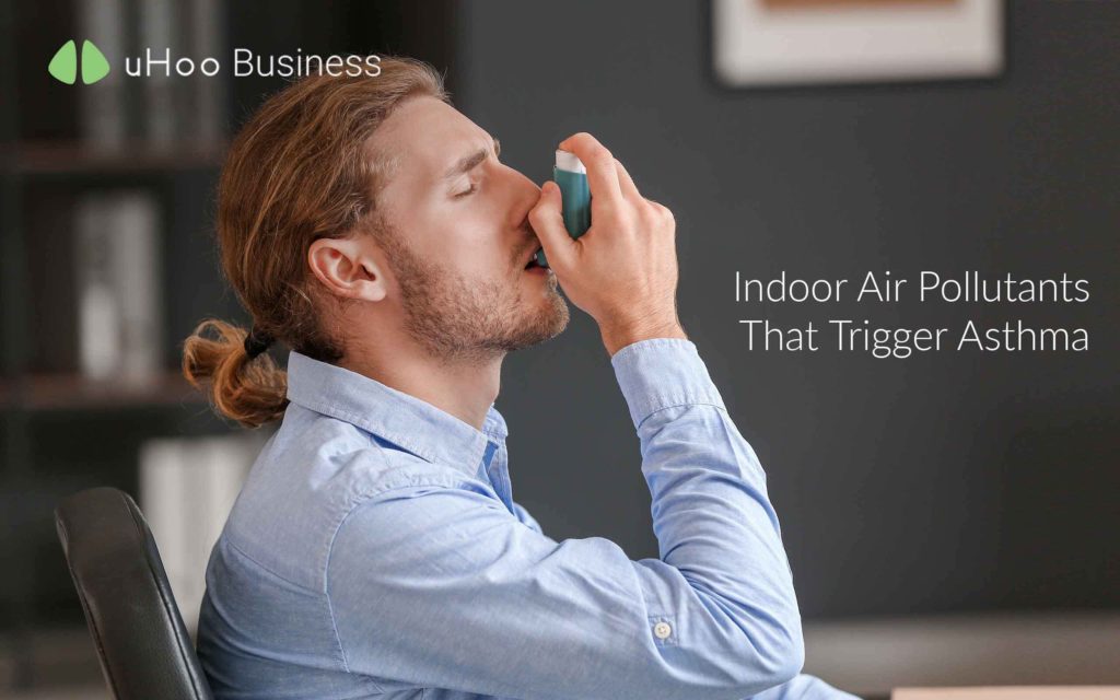 Indoor Air Pollutants That Trigger Occupational Asthma