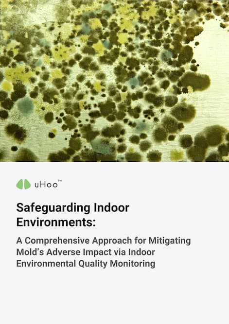 whitepaper-3-mold