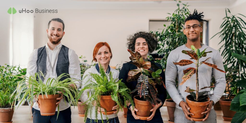 Do Plants Improve Office Air?
