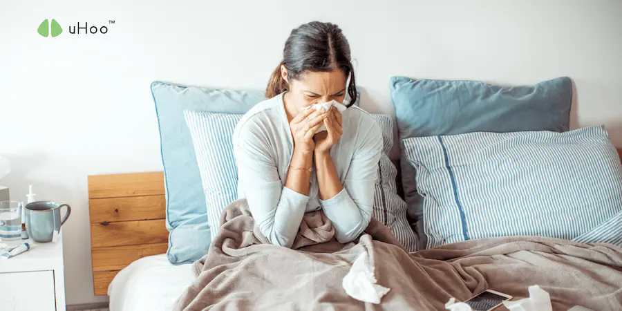 Stay Safe This Flu Season With These Air Quality Tips | uHoo