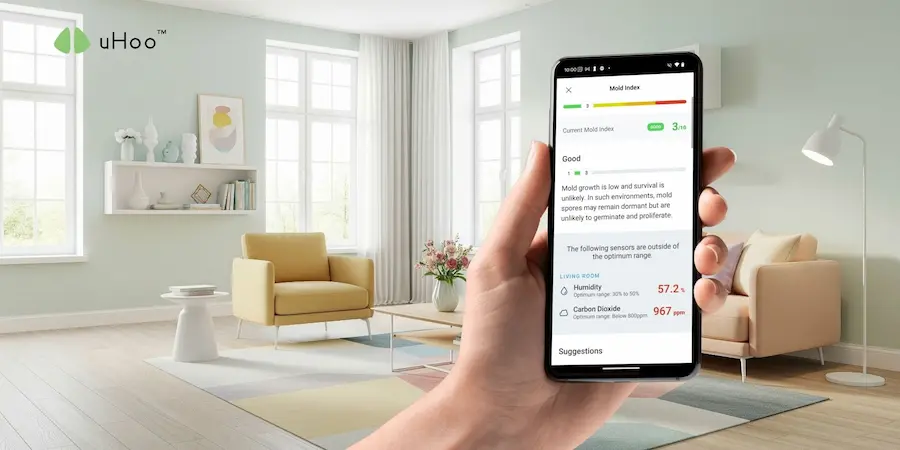 Smart Products That Block Mold Growth and Keep Your Air Clean