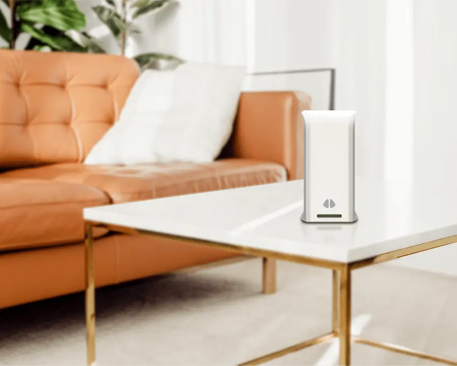Bright, healthy living room at home