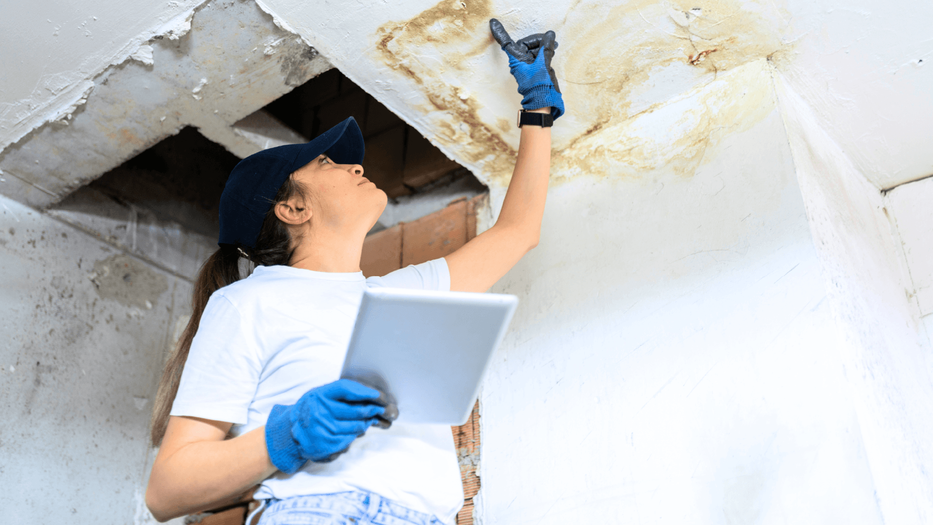 For buildings and businesses