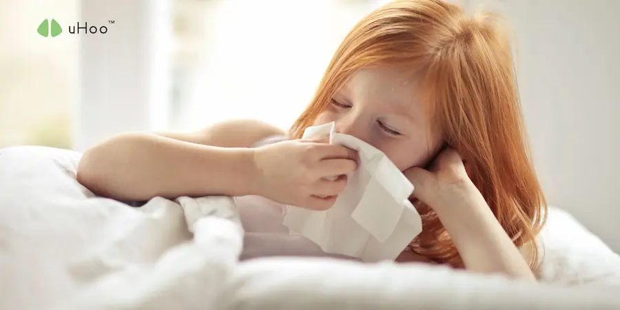 What Are the Top Indoor Air Quality Monitors for Allergies?