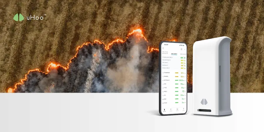 What Does an Air Quality Alert Mean During Wildfire Season?